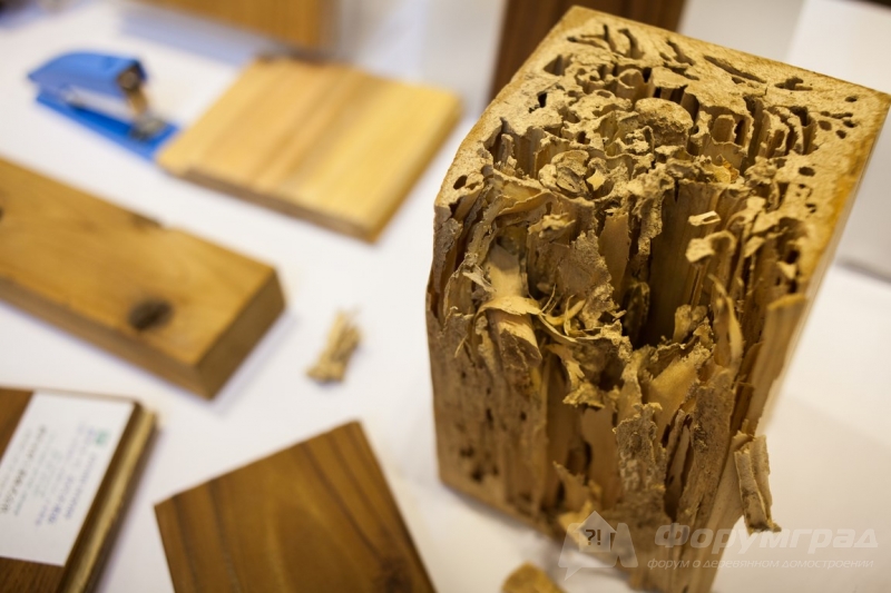 Шикарная отделка из дерева от компании Koshiwoods (Кошивудс) (2)