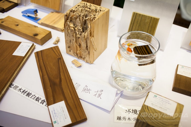 Красивая отделка из дерева от компании Koshiwoods (Кошивудс) (1)
