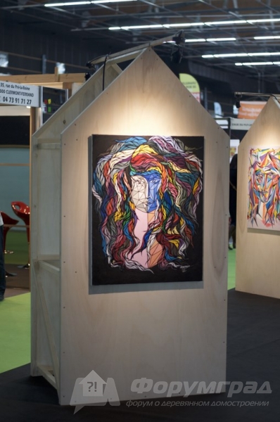 Строительная выставка Salon de l'habitat 2017 (5)