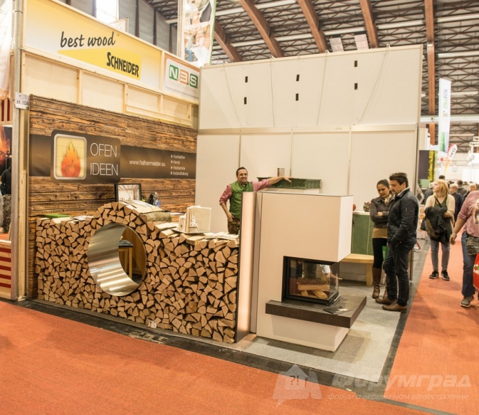 Современные камины от компании Schneider (Шнейдер) (1)