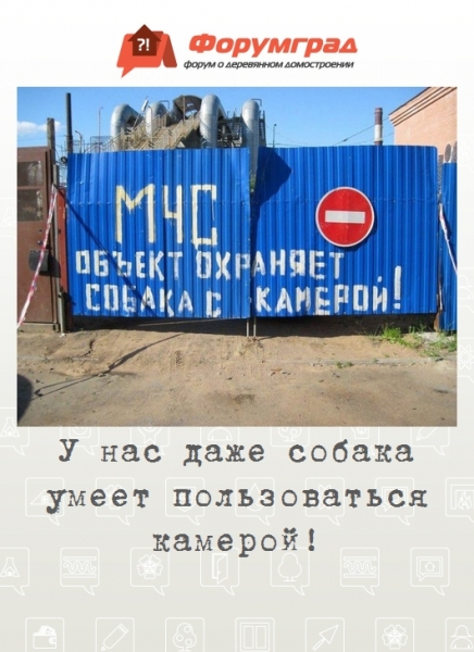У нас даже собака умеет пользоваться камерой!