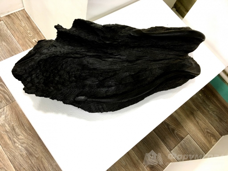 Декоративные скульптуры природной формы из морёного дуба (3)