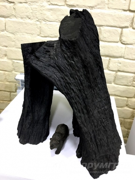 Декоративные скульптуры природной формы из морёного дуба (4)