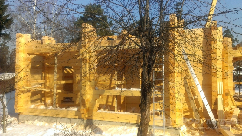 IMAG0058