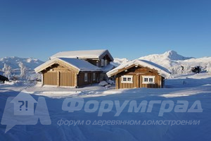 Рубленые дома (2)