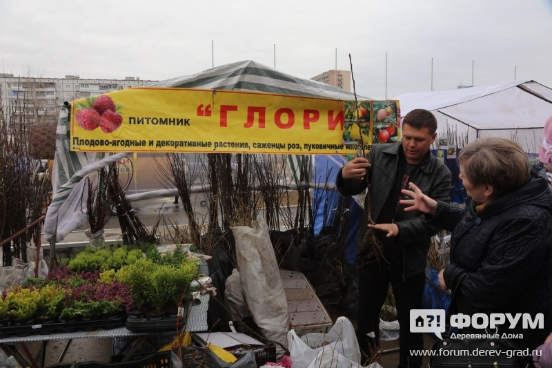 Питомник Глория 