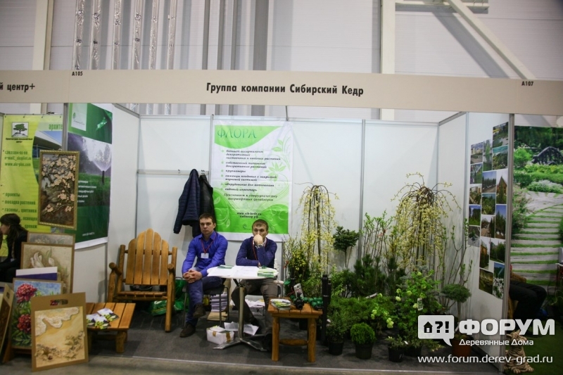 Группа Компаний Сибирский кедр (1)